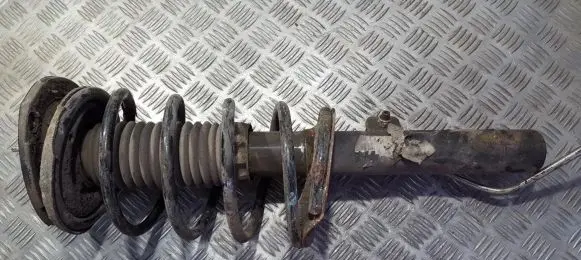 Peugeot 206 Front shock absorber/damper