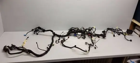 Ford Ecosport Panel wiring GN1518812 LN1514401 AEE0BE14198349