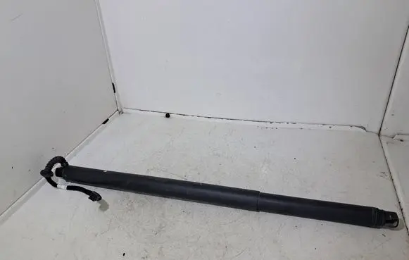 Tailgate/trunk strut/damper