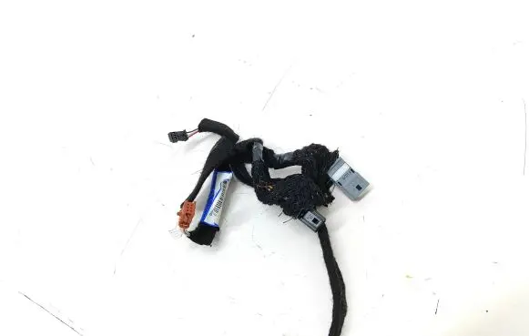 Renault Talisman Other wiring loom 241603960R 0430