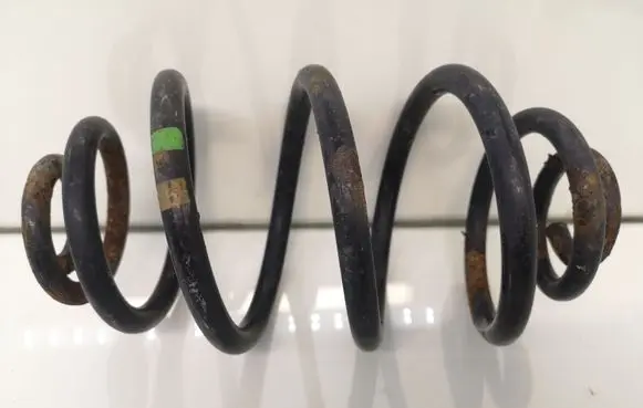 Rear coil spring