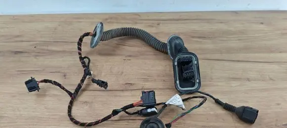 Volkswagen Touareg I Rear door wiring loom 7L6971694B