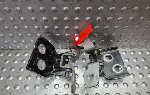 Renault Trafic III (X82) Front door hinge set S26309762