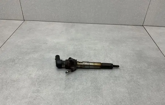 Nissan Qashqai Fuel injector 166006212R H8201100113