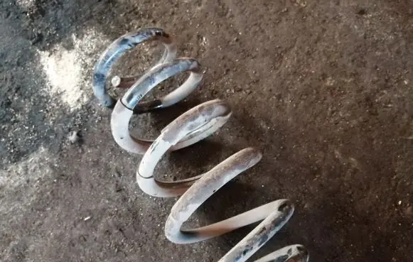 Toyota RAV 4 (XA30) Front coil spring