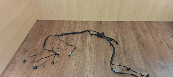 Renault Laguna III Wiring harness 240125112R