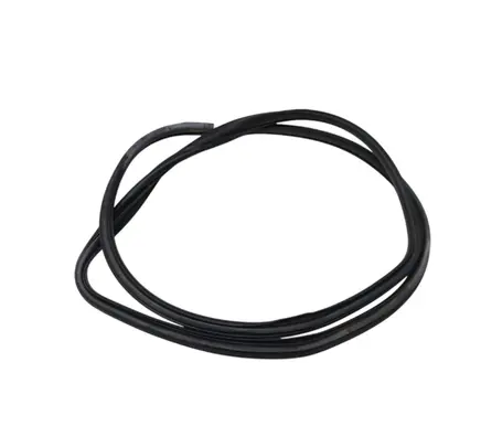 Toyota Verso-S Front door rubber seal 