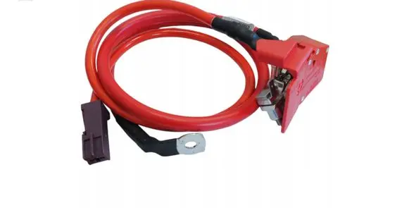 BMW 7 G11 G12 Positive cable (battery) 61126998059