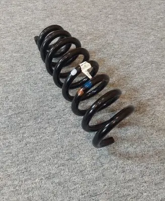 Hyundai Ioniq 5 Rear coil spring 55330G1210 55330-GI210