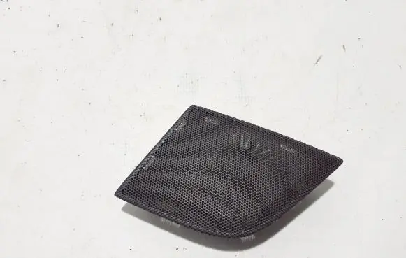 Front door speaker