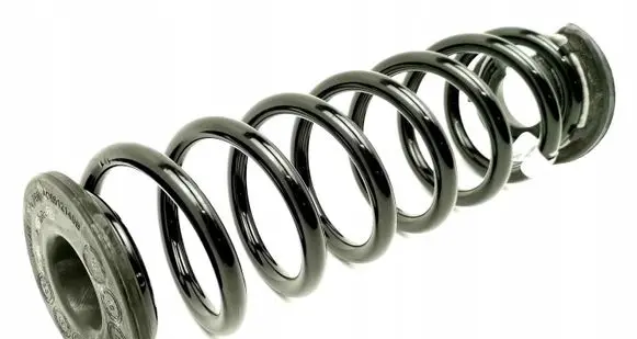 Volkswagen Tiguan Rear coil spring 5QS511103L