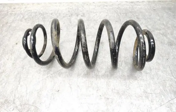 Rear coil spring