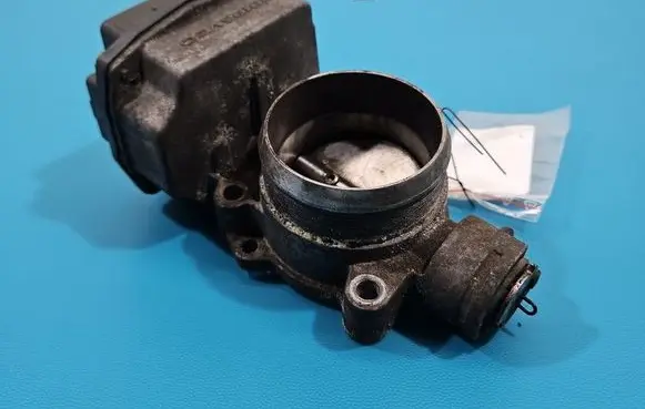 Throttle body valve