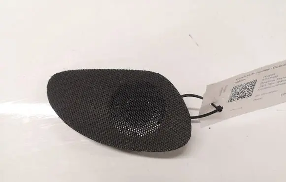 Peugeot 307 Panel speaker 9634507077