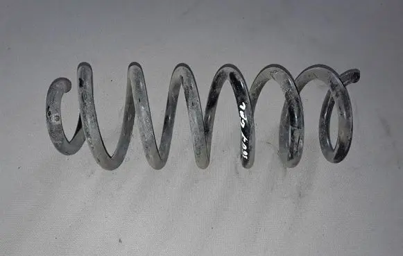 Nissan Qashqai Rear coil spring 550204EA1B