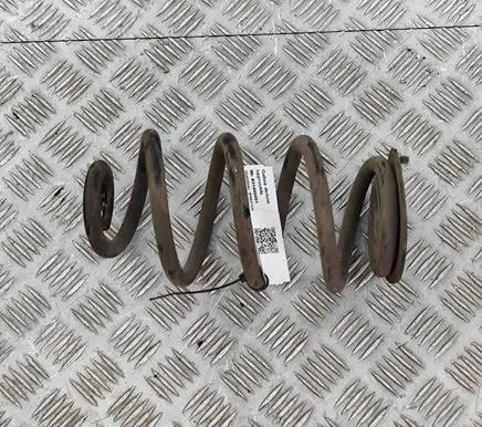 Renault Zoe Rear coil spring 550202131R
