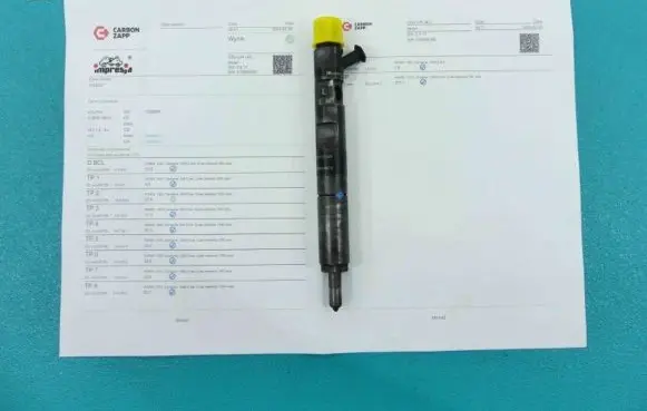 Renault Megane II Fuel injector EJBR01801Z IMPRK1326297