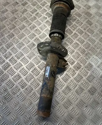Volkswagen Golf Plus Front shock absorber/damper 1T0413031F