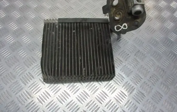 Mercedes-Benz A W169 Air conditioning (A/C) radiator (interior) 