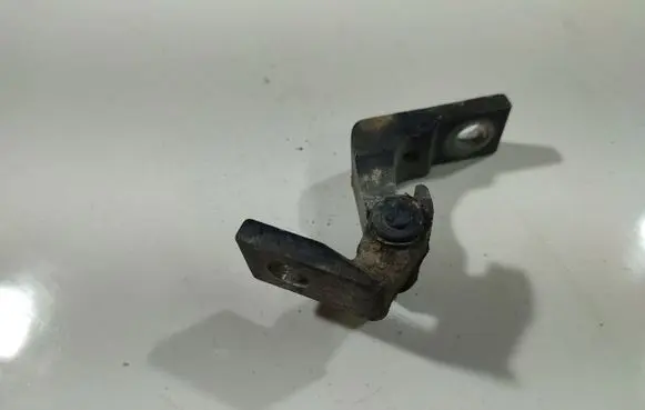 Volkswagen Bora Rear door lower hinge 