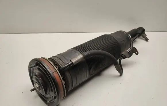 Mercedes-Benz CL C216 Front shock absorber/damper A2213208413