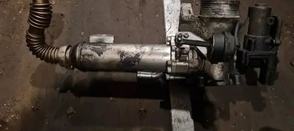 EGR valve cooler