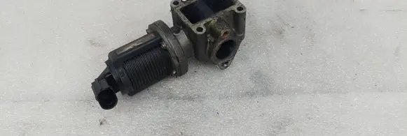 EGR valve