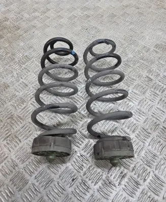 Rear coil spring