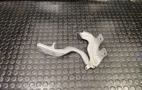 Nissan Murano Z51 Engine bonnet/hood hinges 1AAR