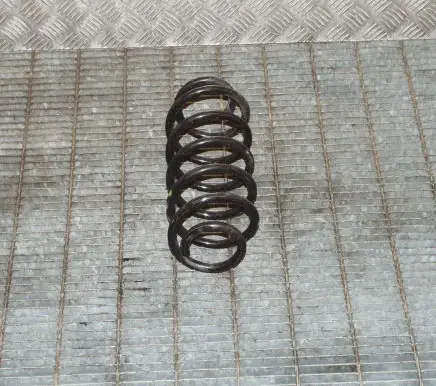 Toyota Auris E180 Rear coil spring