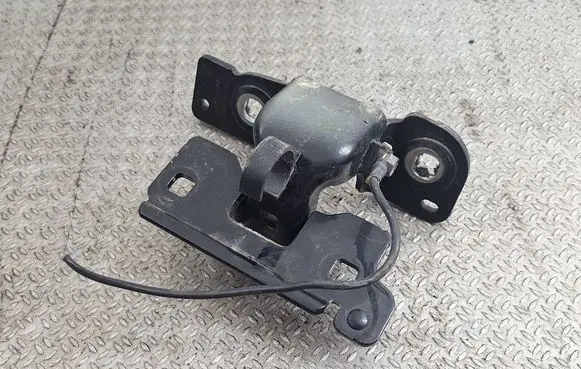 Peugeot 508 Tailgate/trunk/boot hinge 9687860480 24D2B02