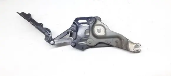 BMW X6 E71 Engine bonnet/hood hinges 7148348 714834811