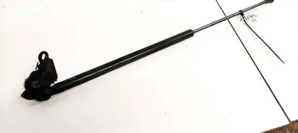 Citroen C1 Tailgate/trunk strut/damper 689500H020 3987SB0305N
