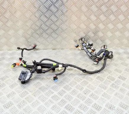 Tesla Model Y Other wiring loom 248905600B P248905600B
