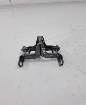 Nissan Ariya Front door hinge set 