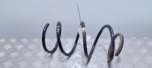 BMW Z4 E89 Front coil spring