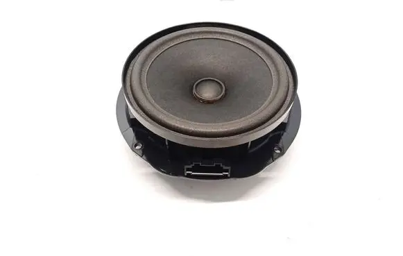Volkswagen ID.4 Rear door speaker 10A035710