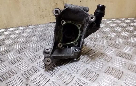 Thermostat/thermostat housing