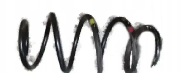 KIA Rio Rear coil spring