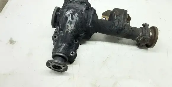 Nissan Terrano Front differential 