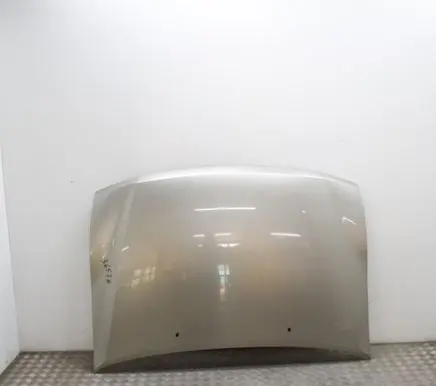 Mitsubishi Pajero Engine bonnet/hood MR485951