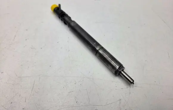 SsangYong Rodius Fuel injector A6650170221
