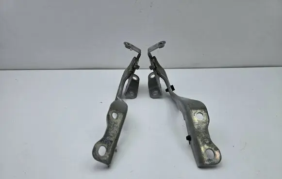 Toyota C-HR I Engine bonnet/hood hinges