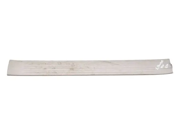 Toyota Land Cruiser (J120) Front sill trim cover 6791460070