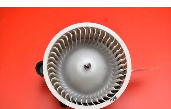 Heater fan/blower