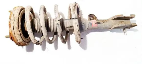 Hyundai Santa Fe Front shock absorber/damper