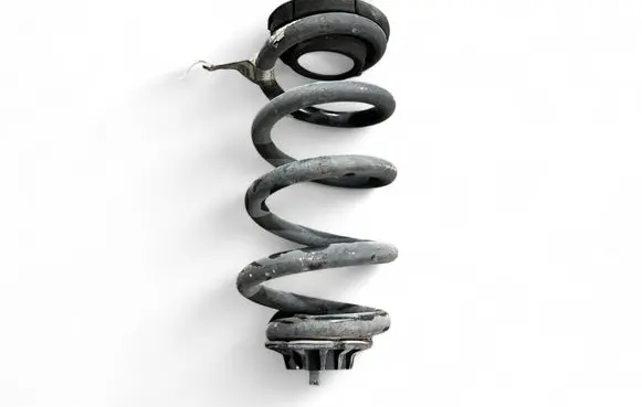 Rear coil spring