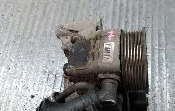 Fiat Ducato Power steering pump 200000019504385414