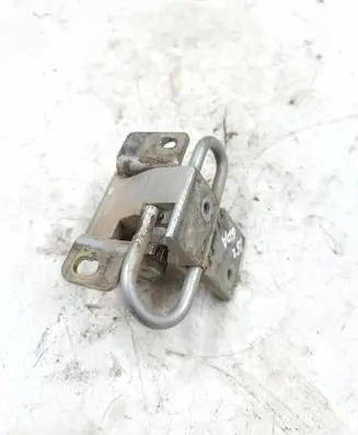 Rear door lower hinge