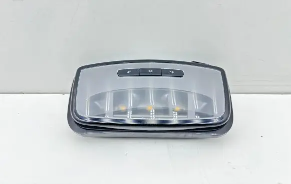 Rear seat light